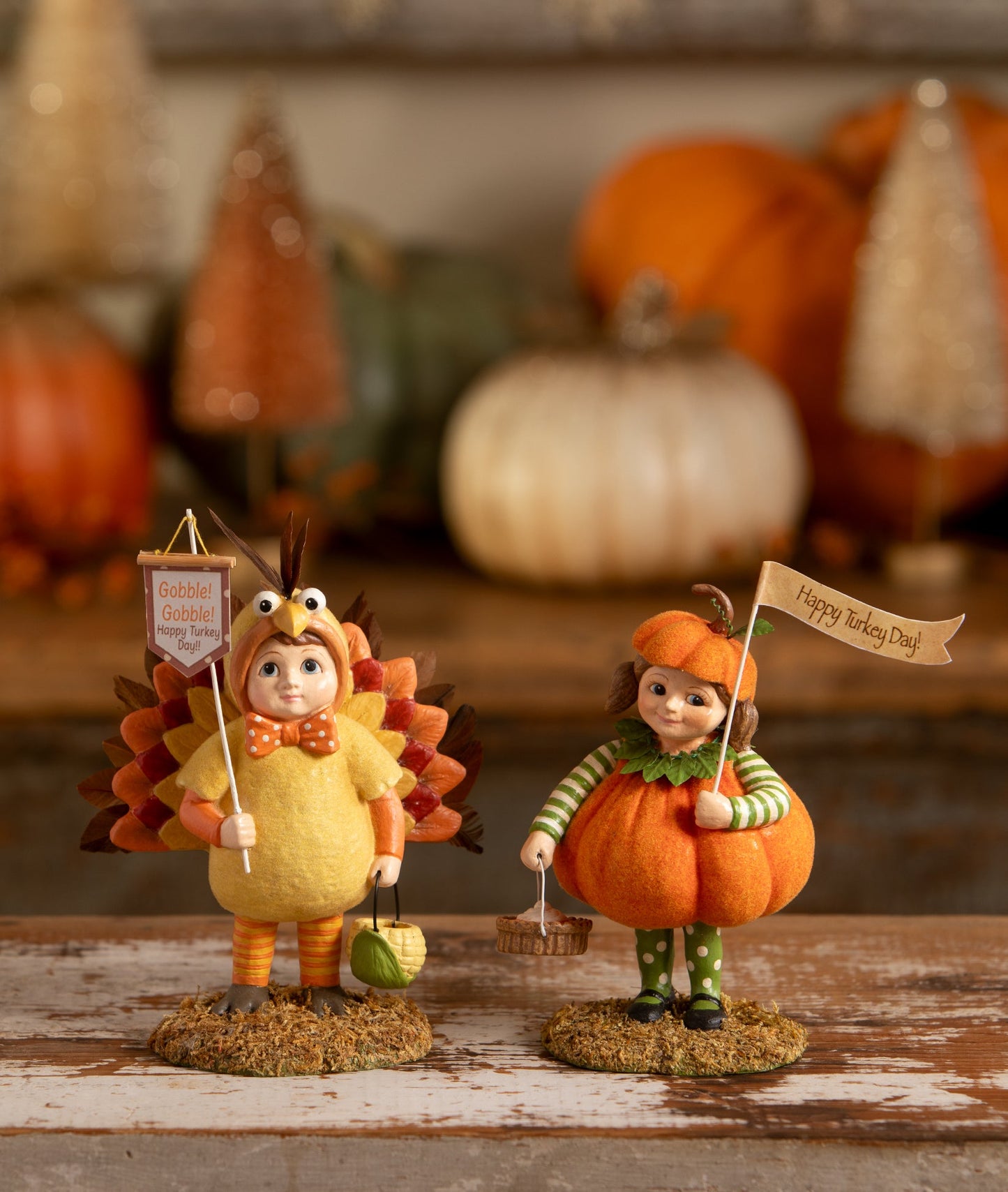 Tommy Turkey Boy