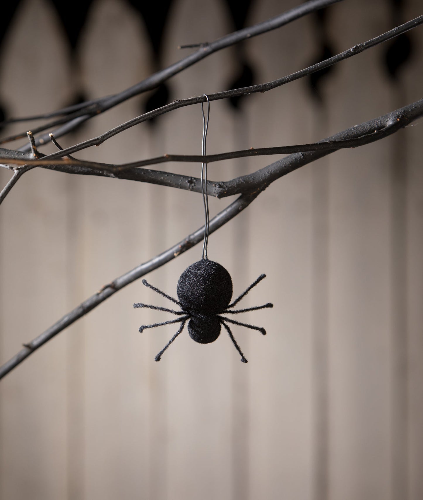 Black Spider Ornament, Flocked