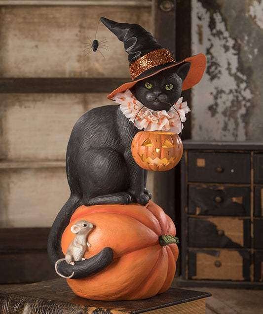 Black Cat Witch on Pumpkin
