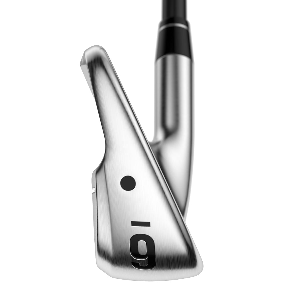 Apex Ti Fusion Chrome Plated Irons - Graphite