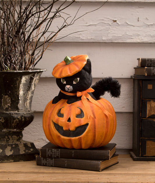 Kitty Cat in Jack