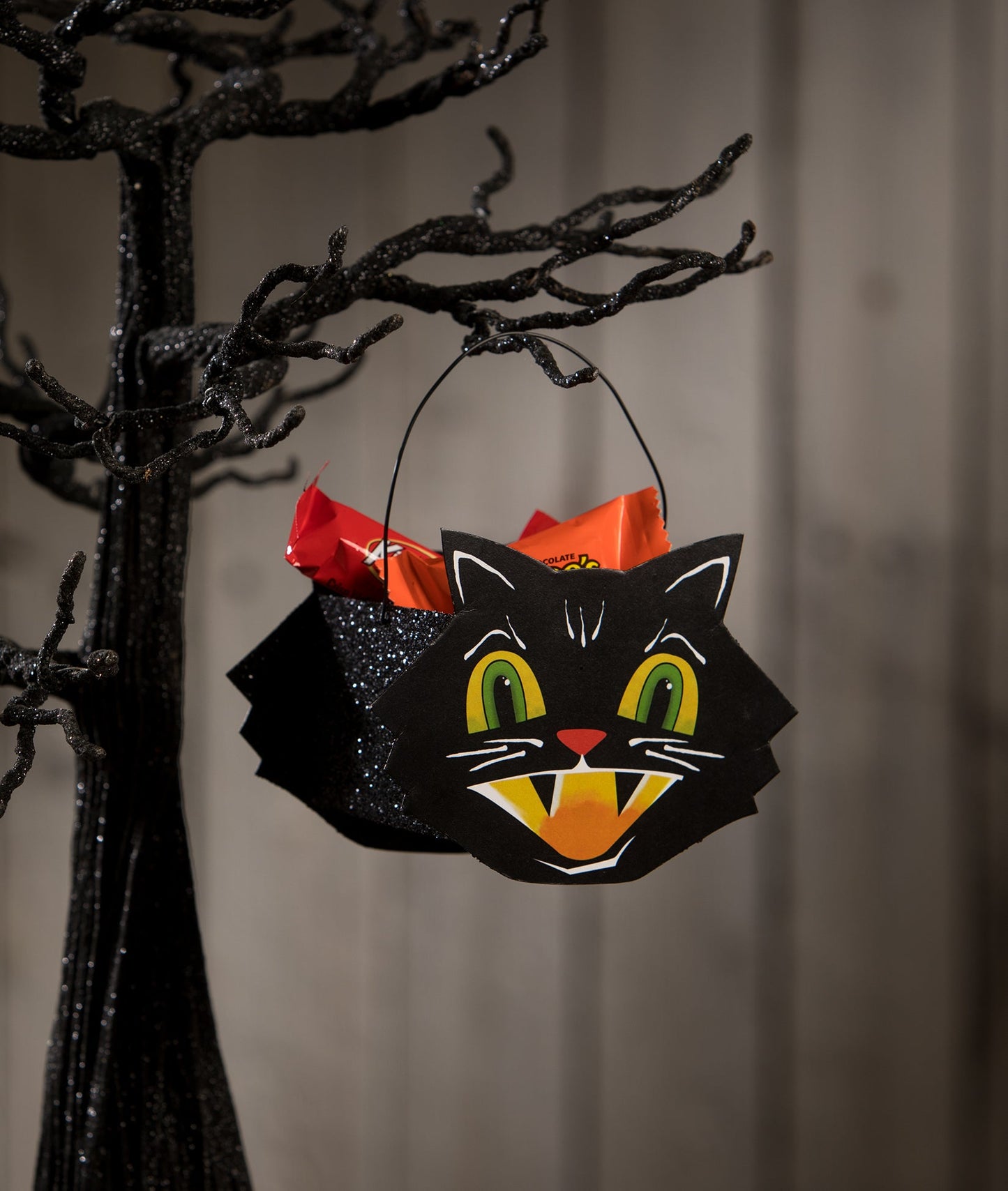 Mr. Cool Cat Bucket Mini