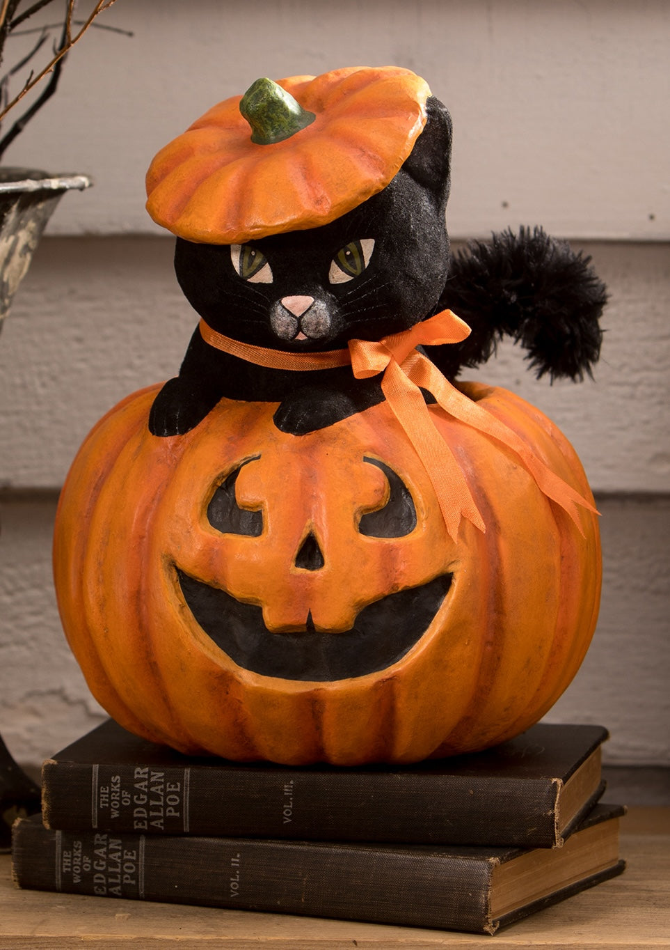 Kitty Cat in Jack